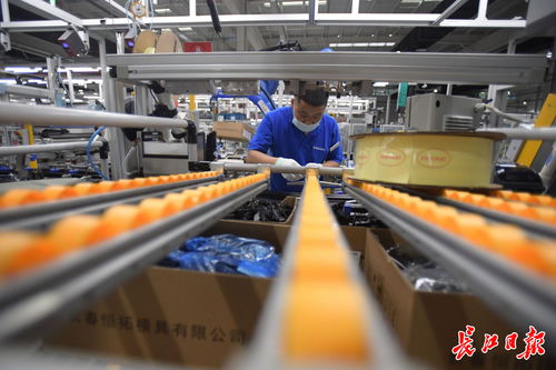 偉巴斯特武漢工廠提前投產，區(qū)域外資工業(yè)集聚效應凸顯